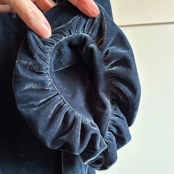 Free People Claudia Velvet Puff Sleeve Blouse - Picture 4 of 15